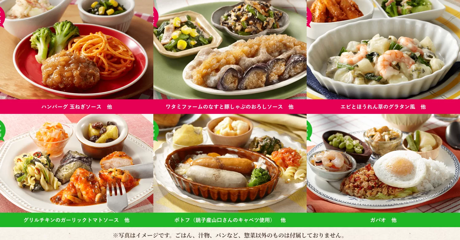 家庭的で食べやすい味わい。コスパ重視で続けやすい宅配弁当